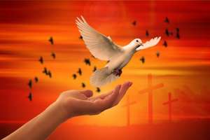 La Paz de Cristo - Asociaci&oacute;n Misionera de Iglesias Pentecostales