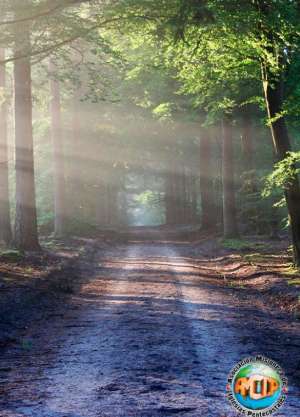 El Llamamiento al Ministerio - AMIP Asociaci&oacute;n Misionera de Iglesias Pentecostales