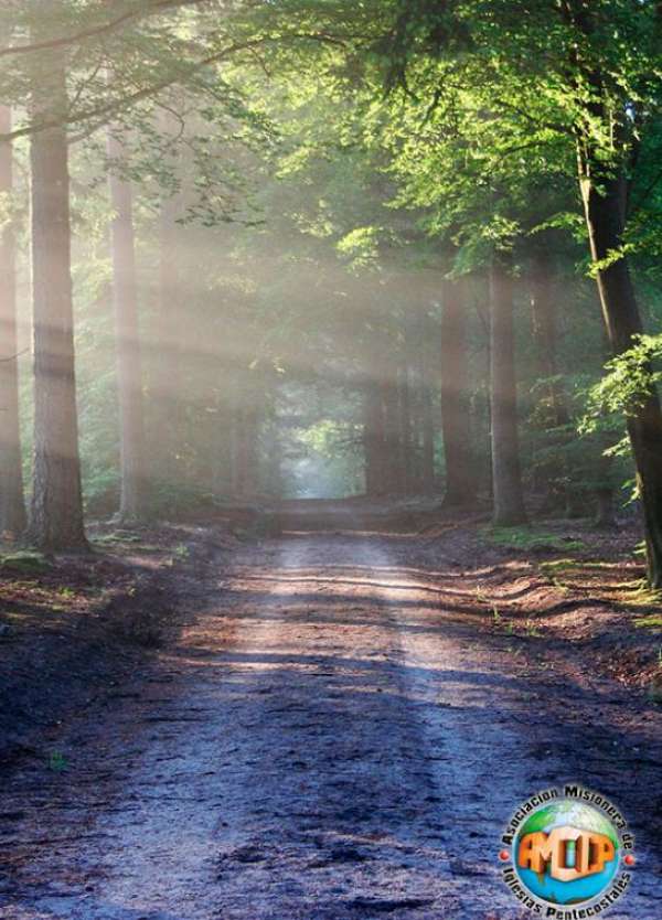 El Llamamiento al Ministerio - AMIP Asociaci&oacute;n Misionera de Iglesias Pentecostales