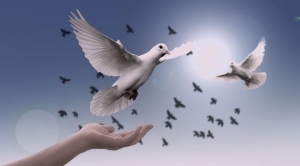 La Paz de Cristo - Asociaci&oacute;n Misionera de Iglesias Pentecostales